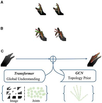 3D hand pose and mesh estimation via a generic Topology-aware Transformer model